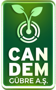 cande-logo-guncel-2022--1-1